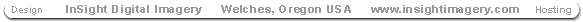 InSight Digital Imagery | Web Design and Hosting